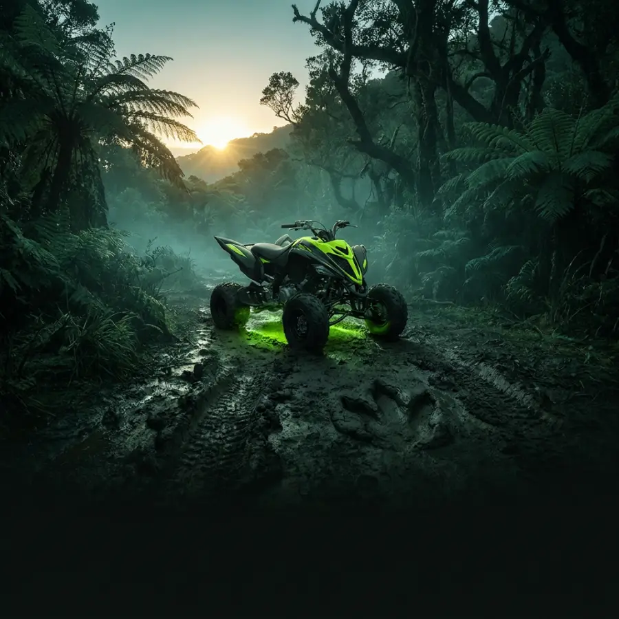 Motorbikes and quads